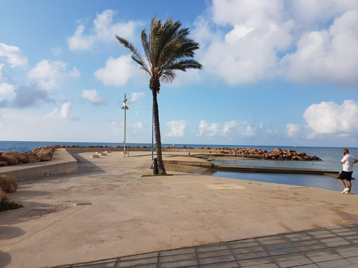 Apartamento Con 2 Stanze Letto Torrevieja Eksteriør bilde
